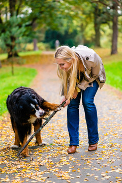 女人和狗在土路上的秋天公园取回棍子游戏