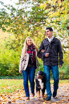 女人和男人带着狗在一条长满树叶的小路上散步
