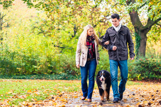 女人和男人带着狗在一条长满树叶的小路上散步