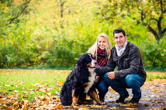 夫妇俩带着小狗在大自然中享受秋天与宠物玩耍