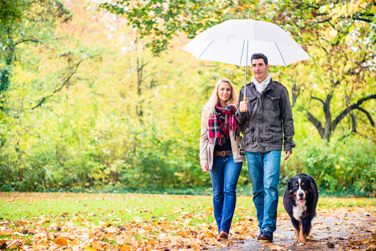 秋雨里，女人和男人牵着狗散步