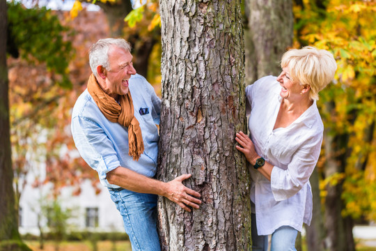 这对老夫妇，一对年长的男人和女人，在秋天的树上玩捉迷藏，互相调情