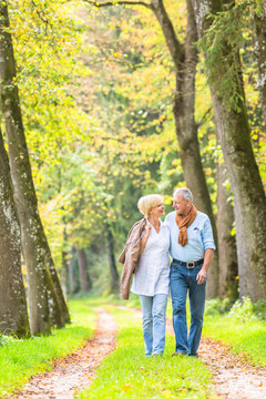 老人和老人，一对夫妇，在秋天的森林里散步，彼此拥抱