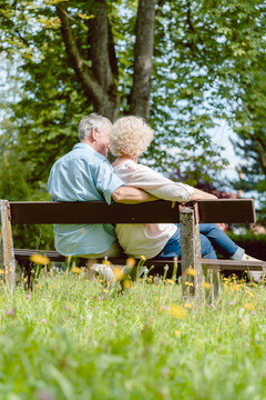 一对浪漫的老年夫妇坐在长椅上享受大自然的后视图，这是公园里一个宁静的夏日