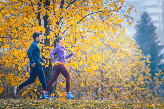 秋天，女人和男人在公园里小山上慢跑或跑步