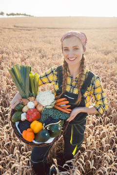 一名妇女在麦田上提着一篮子健康的当地生产的蔬菜