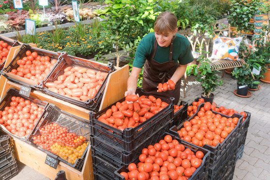 在板条箱里卖西红柿和蔬菜的园丁