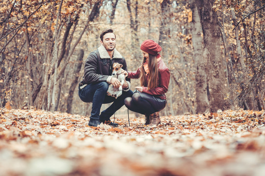 秋天的男人和女人在公园里遛狗，彼此相爱