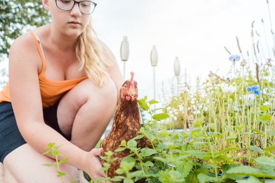一个女孩和她的小鸡在花园里