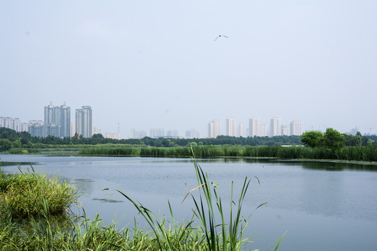 海滨都市风光