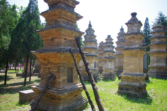 河南登封少林寺景区塔林