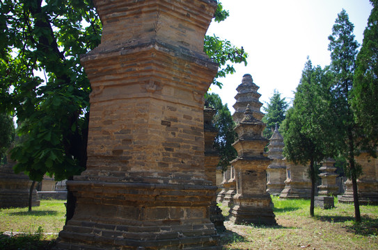 河南登封嵩山少林寺景区塔林