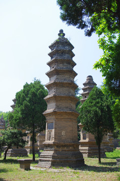 河南登封嵩山少林寺景区塔林