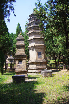 河南登封嵩山少林寺景区塔林