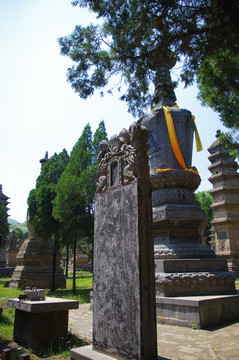 河南登封嵩山少林寺景区塔林