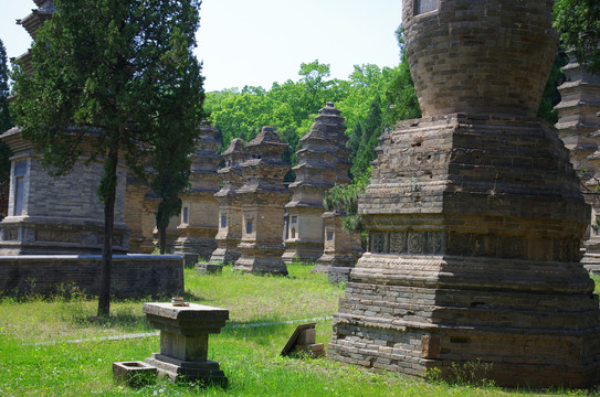 河南登封嵩山少林寺景区塔林