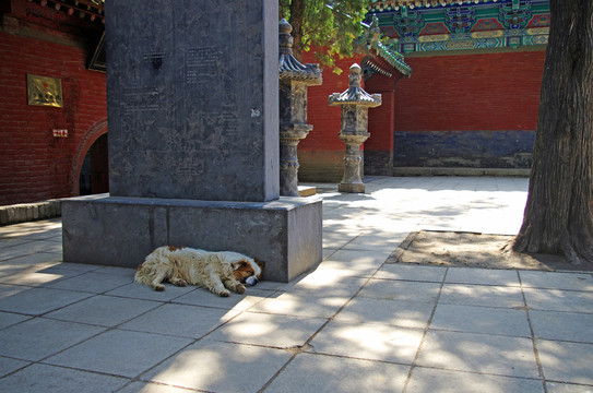 河南登封少林寺景区建筑