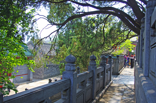 河南登封少林寺景区建筑