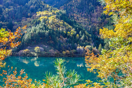 九寨沟秋景