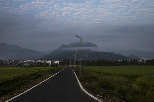 田野间的路