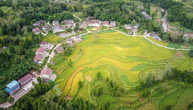 希望的田野