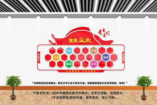 黨員風(fēng)采照片墻