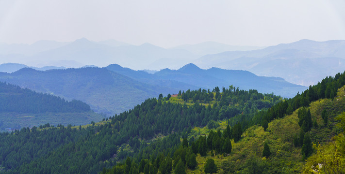 山景