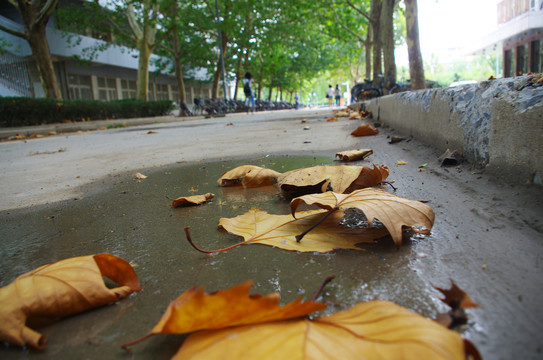 天津南开大学校园建筑