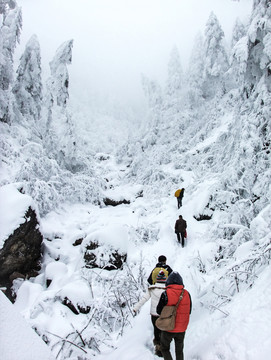 误入雪境西岭雪山