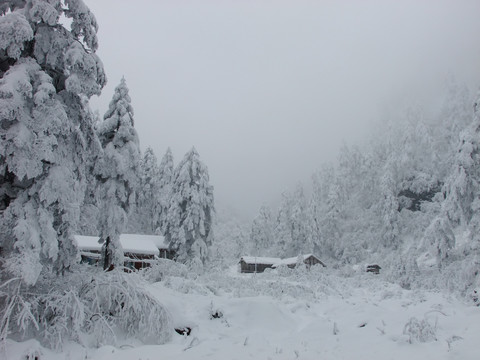 误入雪境西岭雪山