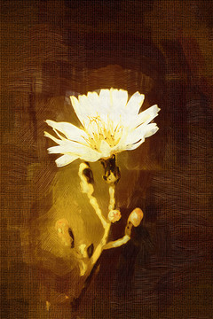 小花油畫