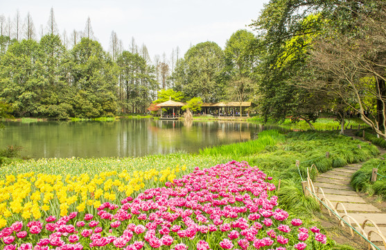 园林风景