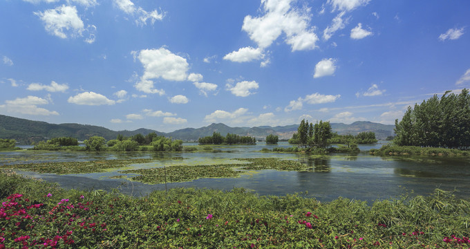 云南昆明滇池湿地