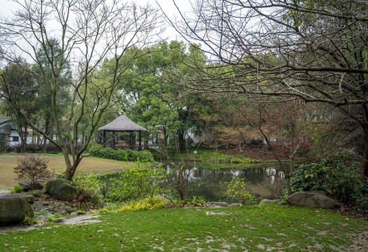 城市公园小景