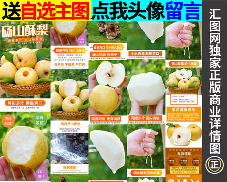 碭山酥梨詳情