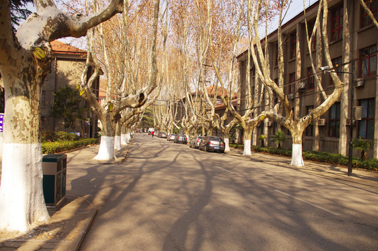 西安交通大学兴庆校区