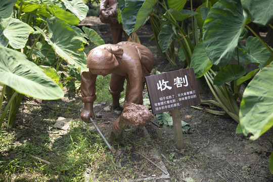 农村收割雕像