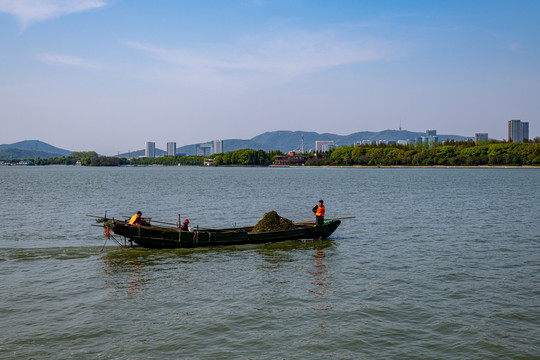 江苏无锡蠡湖国家湿地公园宝界桥