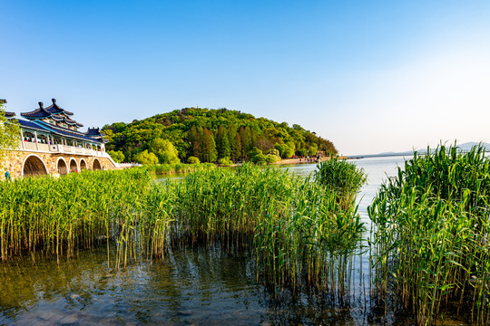 江苏无锡太湖鼋头渚风景区