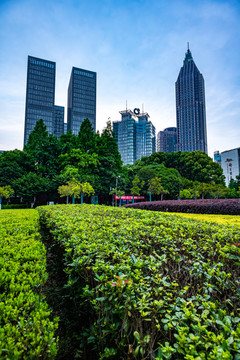 南京图书馆建筑景观