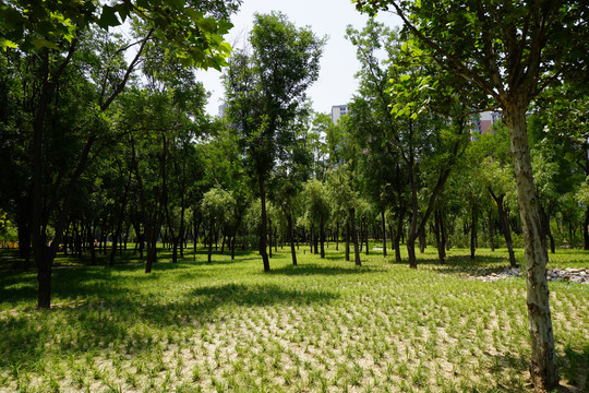 北京朝阳区坝河常庆花园