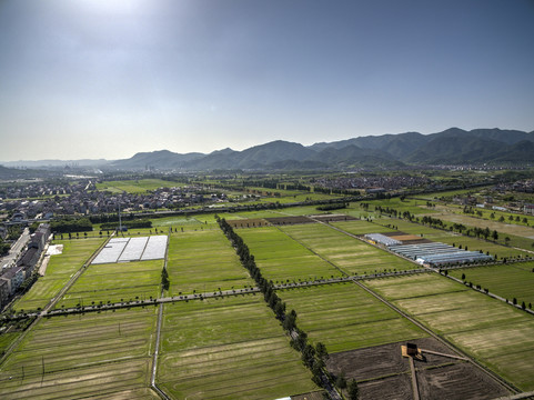 浙江省东阳市马上桥村农田航拍