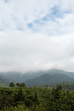 大山丛林天空云朵