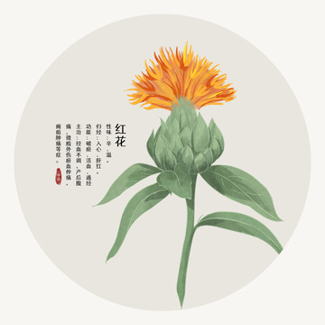 紅花