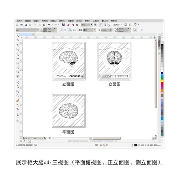 医学展示大脑cdr平面图立面图