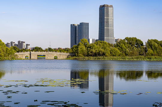 荷花盛开的长春北湖湿地公园景观