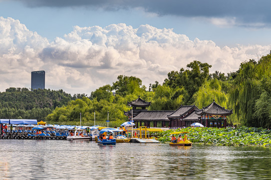 荷花盛开的中国长春南湖公园风景