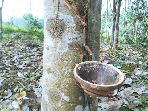 水产养殖新骗局：这些所谓