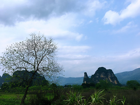 骆驼峰