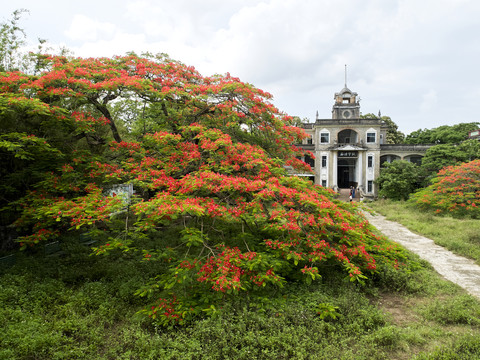 乡村小学